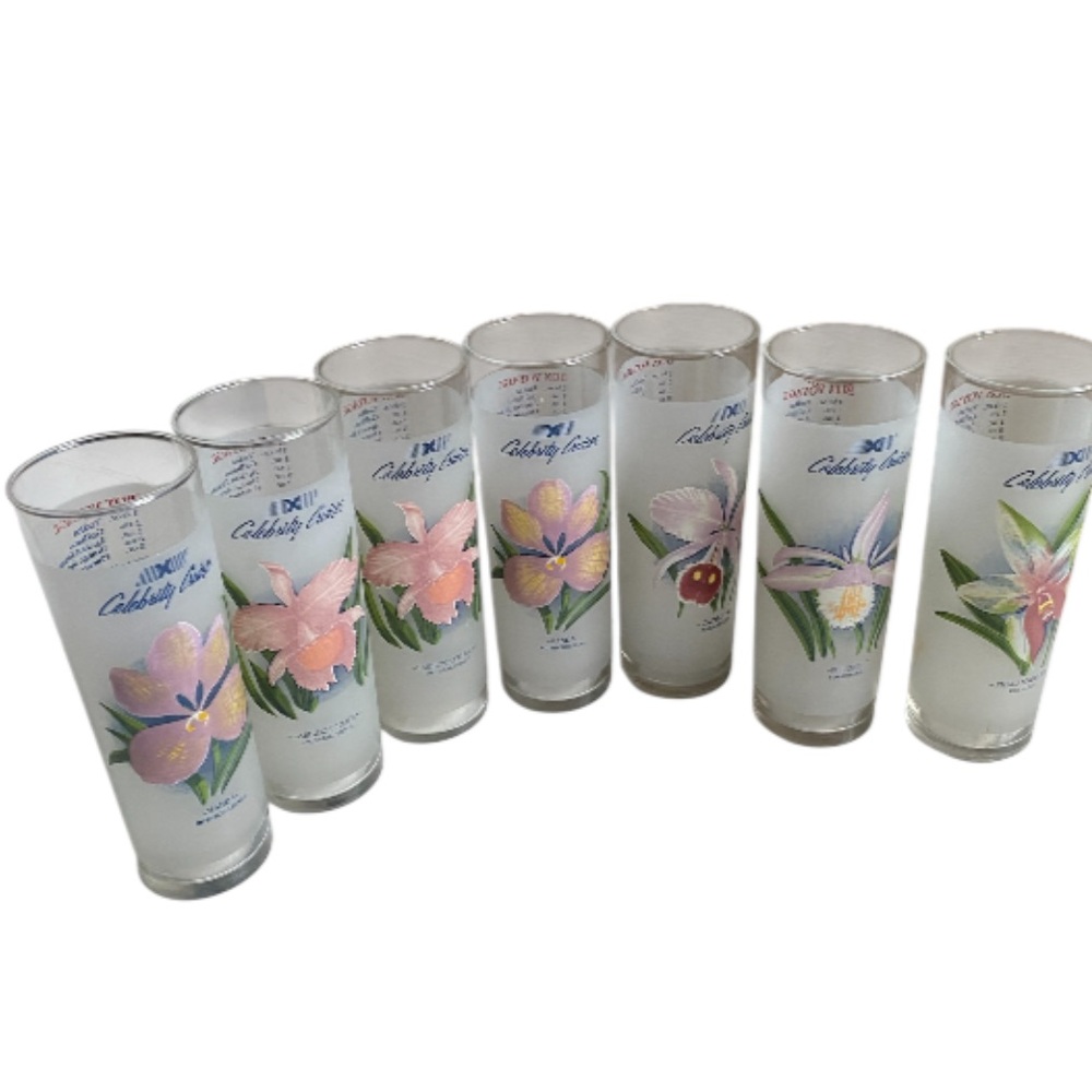 Set of 7 Vintage Celebrity Cruises Orchid Frosted Cocktail Glasses